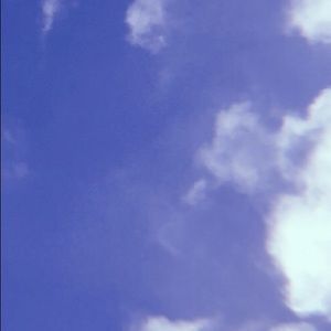 Meet your Posher, Sammy